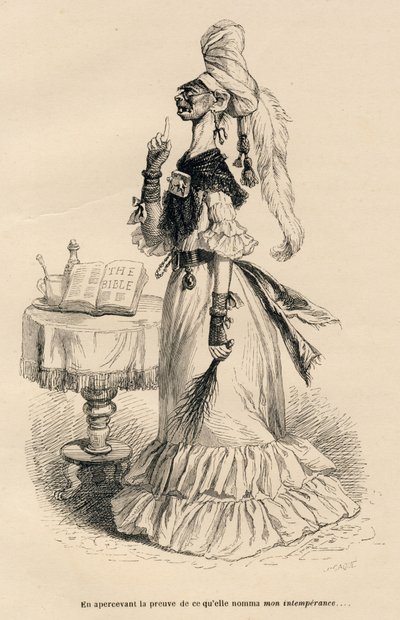 Al ver la prueba de lo que ella llamó mi intemperancia. Viñetas ilustradas por JJ Granville. Grabado firmado Caque en la parte titulada "Penas de corte de una gata inglesa" escrito por Honoré de Balzac en "Escenas de la vida privada y pública de los animal de Grandville