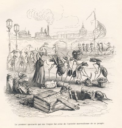 Hormigas en plena actividad en las orillas del Sena. Viñetas ilustradas por JJ Granville. Grabado firmado por Porret en la parte titulada "Viaje de un gorrión de París" escrito por George Sand en "Escenas de la vida privada y pública de los animales". Parí de Grandville
