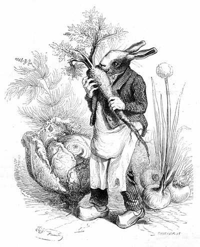 Grabado de Grandville, del libro "Vida privada y pública de los animales (Les animaux pintés par eux memes)", edición Hetzel 1867. Conejo jardinero en pezuñas crujiendo una zanahoria en su huerto o cultivando hortalizas (cebollas y coles). de Grandville (1803 47)