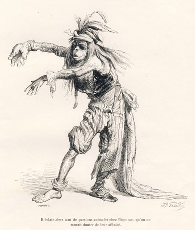 Entonces estallan tantas pasiones animales en el hombre, que no se podría dudar de su afinidad. Viñetas ilustradas por JJ Granville. Grabado firmado Porret en la parte titulada "Viaje de un león de África a París" escrito por Honoré de Balzac en "Escenas d de Grandville