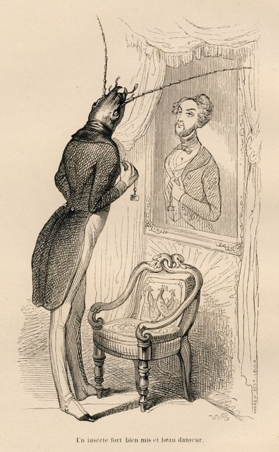 Insecto mirando su reflejo humano en el espejo. Viñetas ilustradas por JJ Granville. Grabado firmado Andrew, Best y Leloir en la parte titulada "Las aventuras de una mariposa" escrito por PJ Stahl en "Escenas de la vida privada y pública de los animales" de Grandville