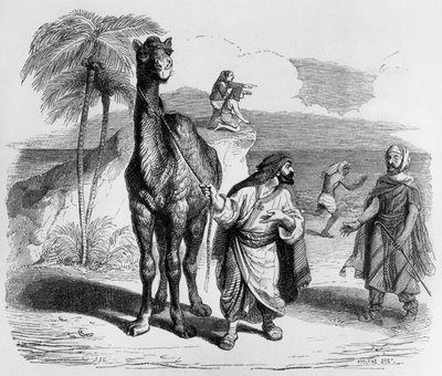 Fábula de La Fontaine (de Jean de La Fontaine) : el camello y los palos flotantes, grabado de J.J. Grandville, c. 1838-40 de Grandville (1803 47)