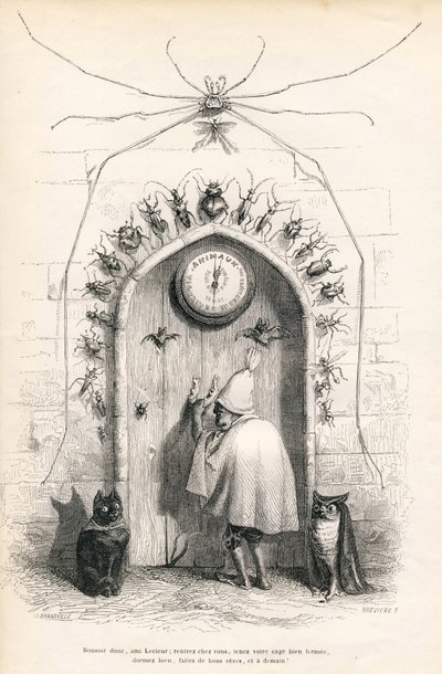 Despedida al lector al final de la obra. Viñetas ilustradas por JJ Granville. Grabado firmado Breviere "Al lector" escrito por PJ Stahl en "Escenas de la vida privada y pública de los animales". París, J. Hetzel y Paulin de Grandville