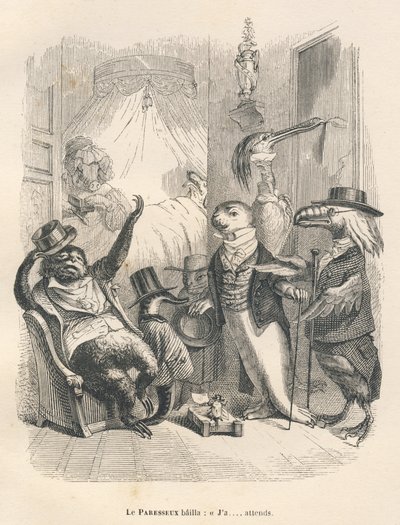 El perezoso bosteza mientras espera. Viñetas ilustradas por JJ Granville. Grabado firmado Godard en la parte titulada "Los animales médicos" escrito por Pierre Bernard en "Escenas de la vida privada y pública de los animales". París, J. Hetzel y Paulin de Grandville