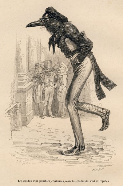 Los estudios son difíciles, costosos pero los estudiantes son intrépidos. Viñetas ilustradas por JJ Granville. Grabado firmado Caque en la parte titulada "Los animales médicos" escrito por Pierre Bernard en "Escenas de la vida privada y pública de los anim de Grandville