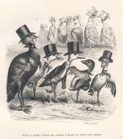 Oficio de ganso consistente en llevar a los alumnos al campo. Los gansos se alejan de su hijo. Viñetas ilustradas por JJ Granville. Grabado firmado por Breviere en la parte titulada "Guía-asno para el uso de los animales que quieren alcanzar los honores" e de Grandville