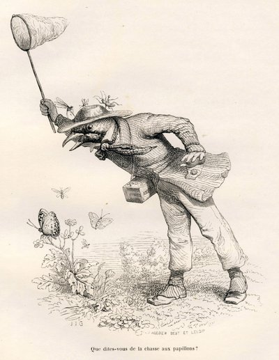 Oiseau chassant les papillons de Grandville