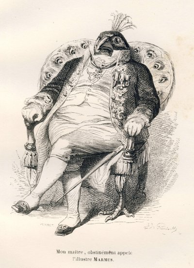 Pavo real sentado en su sillón. Viñetas ilustradas por JJ Granville. Grabado firmado por Porret en la parte titulada "Guía para animales que quieren alcanzar honores" escrito por Honoré de Balzac en "Escenas de la vida privada y pública de los animales". P de Grandville