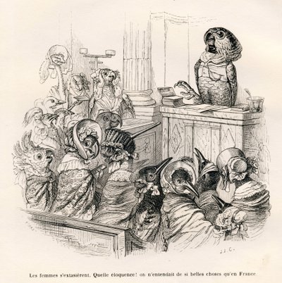 Loro elocuente. Viñetas ilustradas por JJ Granville. Grabado firmado Porret en la parte titulada "Guía-burro para el uso de los animales que quieren alcanzar honores" escrito por Honoré De Balzac en "Escenas de la vida privada y pública de los animales" de Grandville