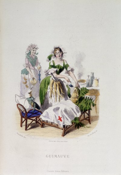 Personificación de la planta medicinal Malvavisco tratando una rana - en "Flores animadas" por Grandville de Grandville
