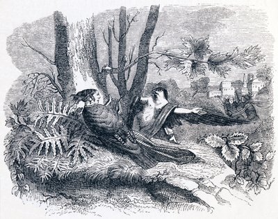 Filomela y Progne - Fábulas de La Fontaine de Grandville