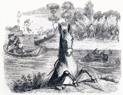 El burro con la esponja y el burro con la sal - Fábulas de La Fontaine de Grandville