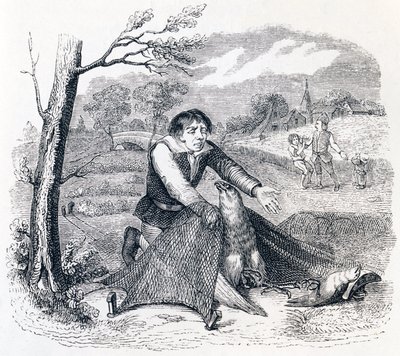 El cazador de aves, el azor y la alondra - Fábulas de La Fontaine de Grandville