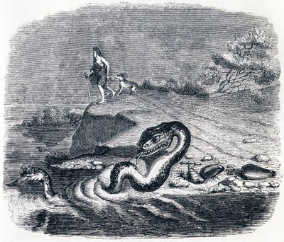 La cabeza y la cola de la serpiente - Fábulas de La Fontaine de Grandville