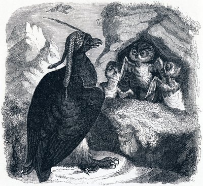 El águila y el búho - Fábulas de La Fontaine de Grandville