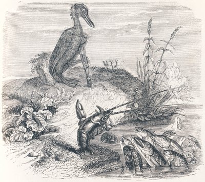 Los peces y el cormorán (Les poissons et le cormoran) - Fábulas de La Fontaine de Grandville