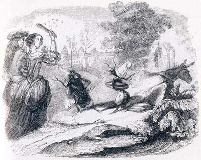 La mosca y la hormiga - Fábulas de La Fontaine de Grandville
