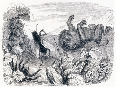 El león y la niebla - Fábulas de La Fontaine de Grandville