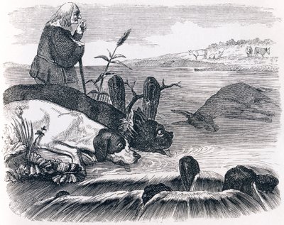 Los dos perros y el burro muerto - Fábulas de La Fontaine de Grandville