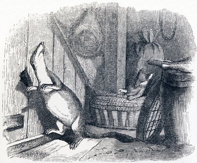 La comadreja entra en un granero - Fábulas de La Fontaine de Grandville