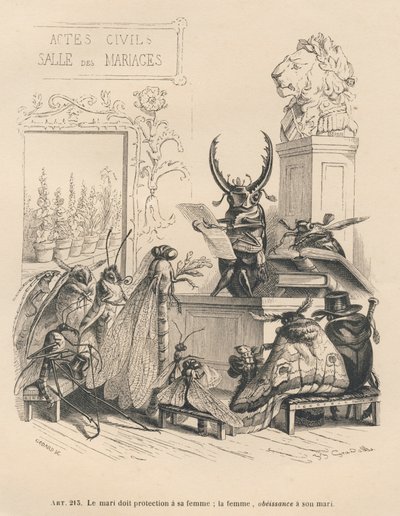 Votos de matrimonio de insectos. Viñetas ilustradas por JJ Granville. Grabado firmado por Godard en la parte titulada "Las aventuras de una mariposa" escrito por PJ Stahl en "Escenas de la vida privada y pública de los animales". París, J. Hetzel y Paulin de Grandville