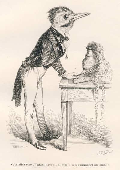 Vas a ser un gran sabio, y yo lo anunciaré al mundo. Viñetas ilustradas por JJ Granville. Grabado firmado por Tamisier en la parte titulada "Guía para animales que quieren alcanzar honores" escrito por Honoré de Balzac en "Escenas de la vida privada y públ de Grandville