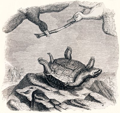 La tortuga y los dos patos (La tortue et les deux canards) - Fábulas de La Fontaine de Grandville