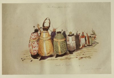 Famille de Scarabees, 1828-29 de Grandville