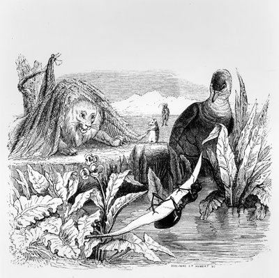 La paloma y la hormiga y el león y la rata, ilustración para 