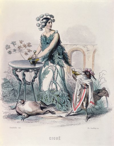 La cicuta, de 