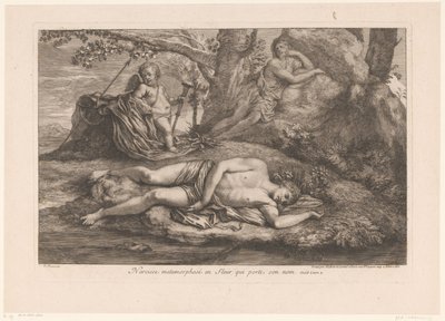 Narciso en Eco
Narciso metamorfoseado en la flor que lleva su nombre (título en el objeto) de Gérard Audran
