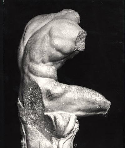 Torso de Belvedere de Greco Roman Greco Roman