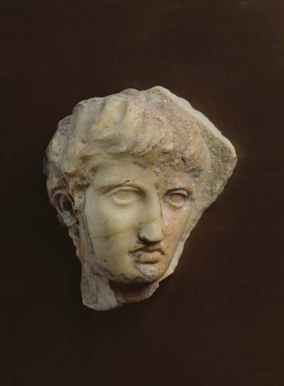 Cabeza de un caballero conocido como La Coulonche de Greek