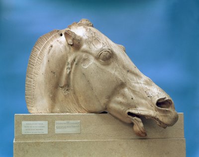 Cabeza de uno de los caballos de Selene, diosa de la luna, del frontón este del Partenón, 447-432 a.C. de Greek