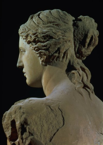 Venus de Milo, detalle de la parte posterior de la cabeza de Greek