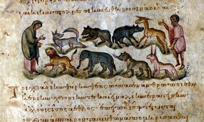 Juego: los animales que puedes cazar - en 