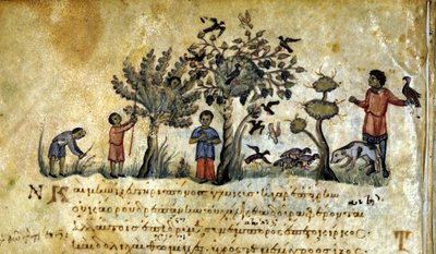 Caza con halcón y captura de nidos de aves. Manuscrito griego de Oppianus De Venatione siglo XIII de Greek School