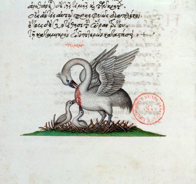 Ms 3401 Un pelícano perforando su pecho para alimentar a sus crías, de un Bestiario de Manuel Philes, 1566 de Greek School