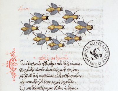 Ms 3402 Abejas, de un Bestiario de Manuel Philes, 1566 de Greek School