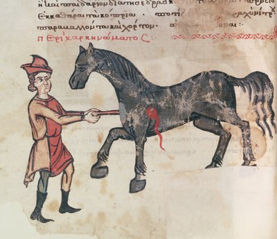 Ms Grec 2244 fol.37v Operando a un caballo de Greek School