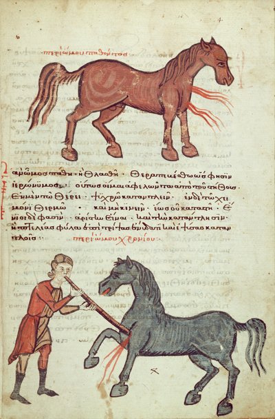 Ms Grec 2244 fol.4 Operando a un caballo de Greek School