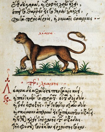 Tratado sobre el león, texto y miniatura de De animalium natura et proprietate libellus, por Eliano (siglos II-III d.C.) de Greek School