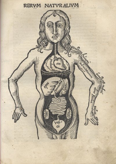 Margarita Philosophica. Anatomía, 1504 de Gregor Reisch
