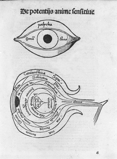 Estudio del ojo humano. Lámina anatómica de “Margarita Philosophica” de Gregor Reisch (1467-1525), Bale 1517. de Gregor Reisch