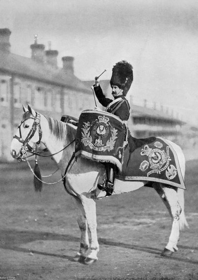 Plum Duff, el caballo tambor de los Royal Scots Greys, 1896 de Gregory and Co