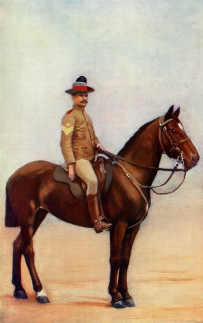 Sargento mayor de los lanceros de Nueva Gales del Sur de Gregory and Co