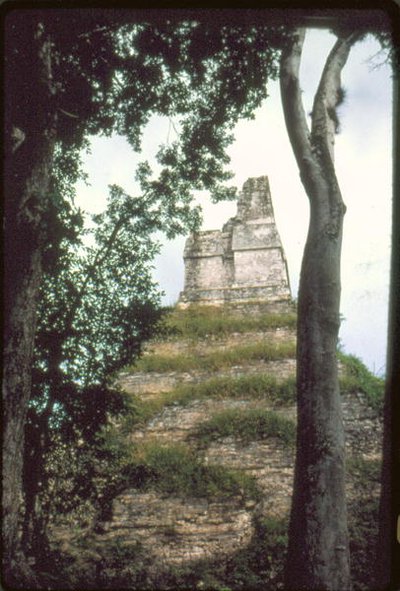 Templo de las Inscripciones, c. 700 DC de Guatemalan School