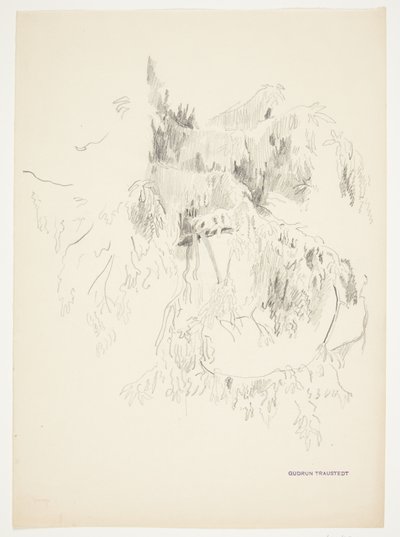 Estudio de ramas de Gudrun Traustedt