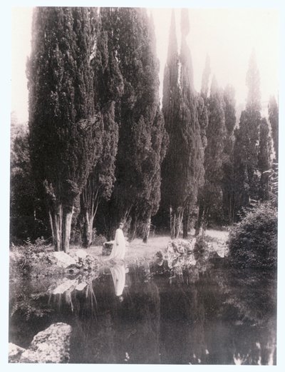 Pompeya (foto) de Guglielmo (1852 1930) Plüschow