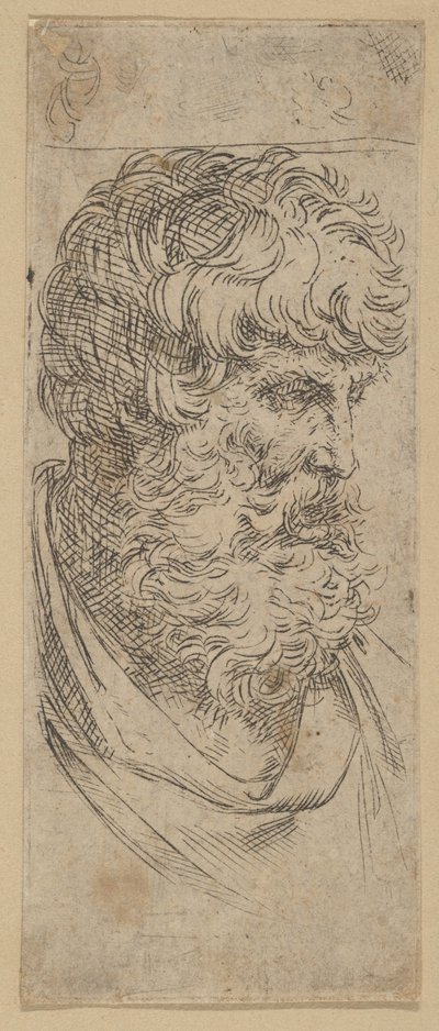 Busto de un hombre con barba de Guido Reni